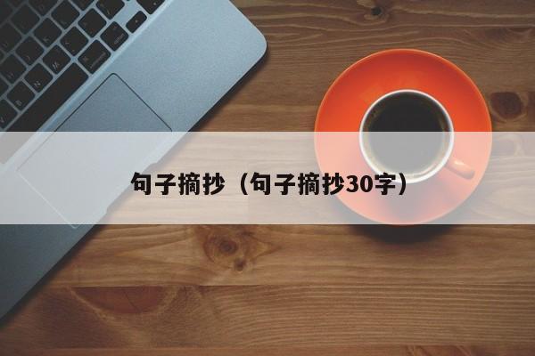 句子摘抄（句子摘抄30字）