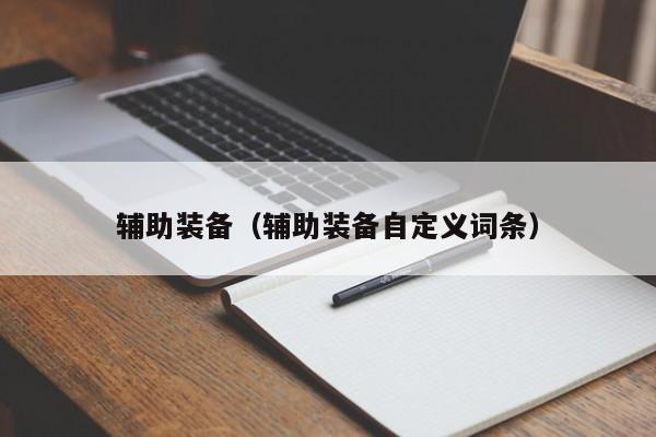 辅助装备（辅助装备自定义词条）