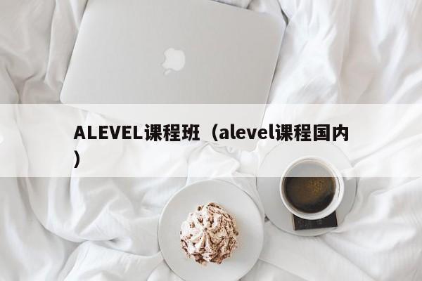 ALEVEL课程班（alevel课程国内）