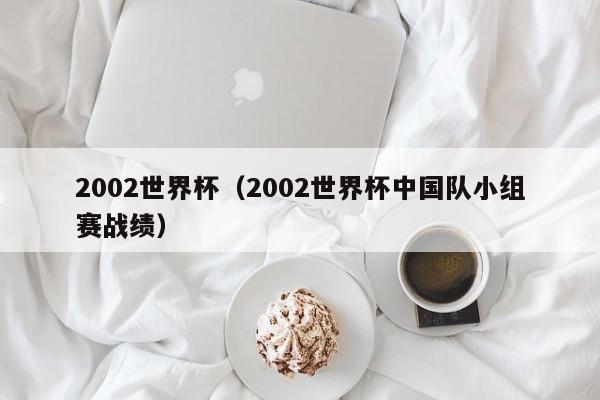 2002世界杯（2002世界杯中国队小组赛战绩）