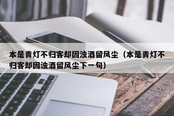 本是青灯不归客却因浊酒留风尘（本是青灯不归客却因浊酒留风尘下一句）