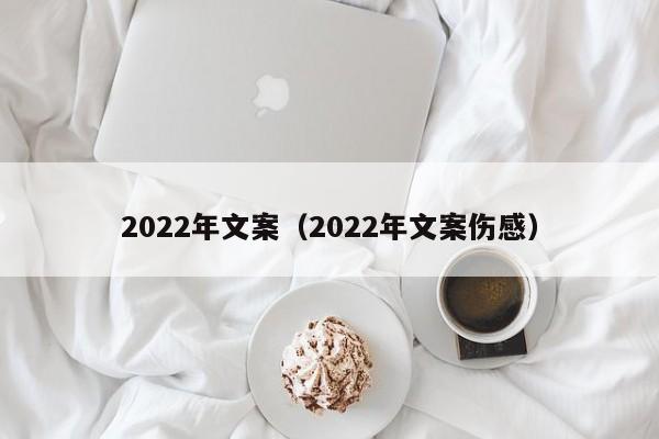 2022年文案（2022年文案伤感）