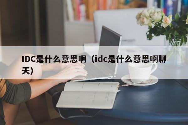 IDC是什么意思啊（idc是什么意思啊聊天）