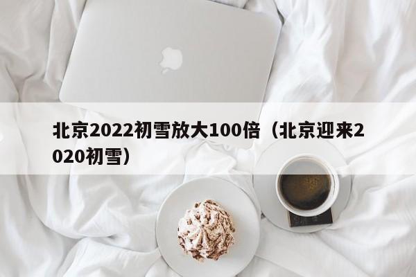 北京2022初雪放大100倍（北京迎来2020初雪）