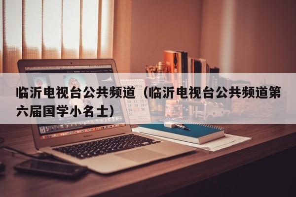 临沂电视台公共频道（临沂电视台公共频道第六届国学小名士）