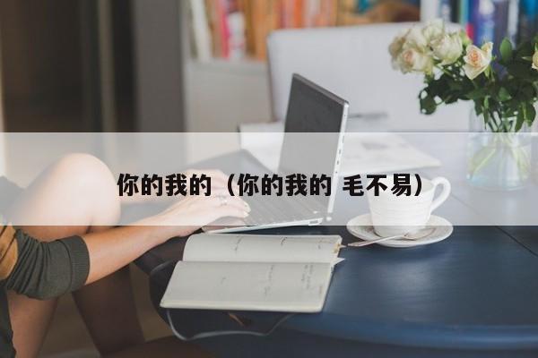 你的我的（你的我的 毛不易）