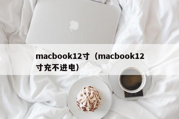 macbook12寸（macbook12寸充不进电）