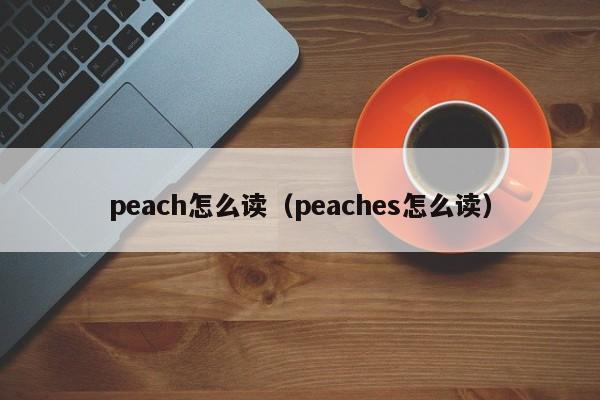 peach怎么读（peaches怎么读）