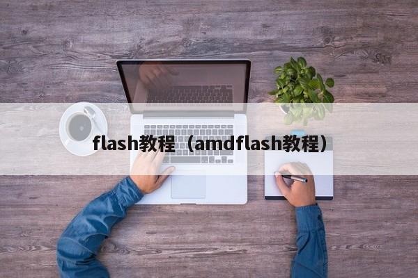 flash教程（amdflash教程）
