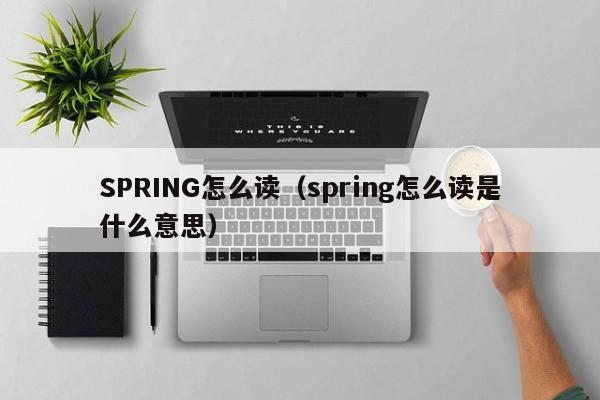 SPRING怎么读（spring怎么读是什么意思）