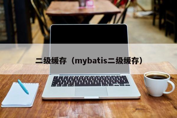 二级缓存（mybatis二级缓存）