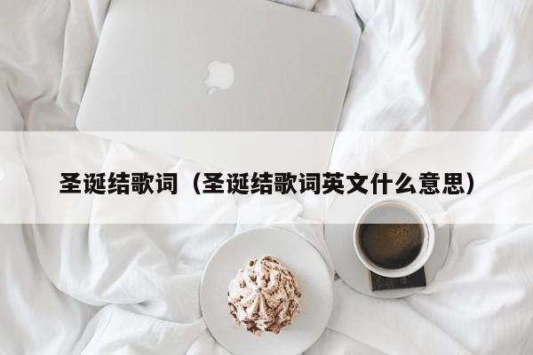 圣诞结歌词（圣诞结歌词英文什么意思）