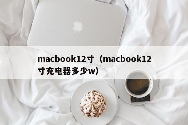 macbook12寸（macbook12寸充电器多少w）