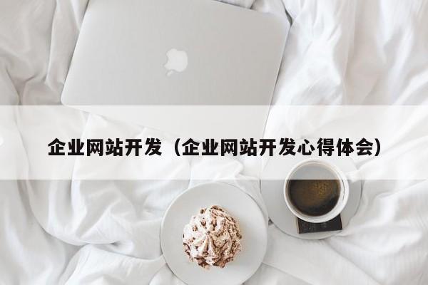 企业网站开发（企业网站开发心得体会）