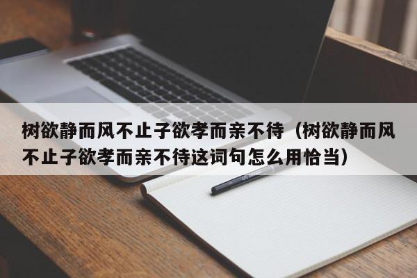 树欲静而风不止子欲孝而亲不待（树欲静而风不止子欲孝而亲不待这词句怎么用恰当）