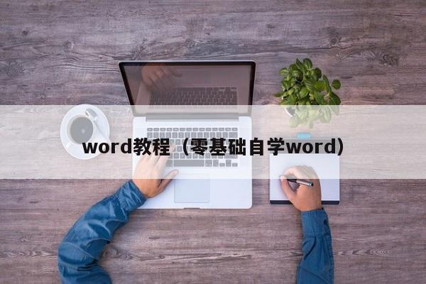 word教程（零基础自学word）