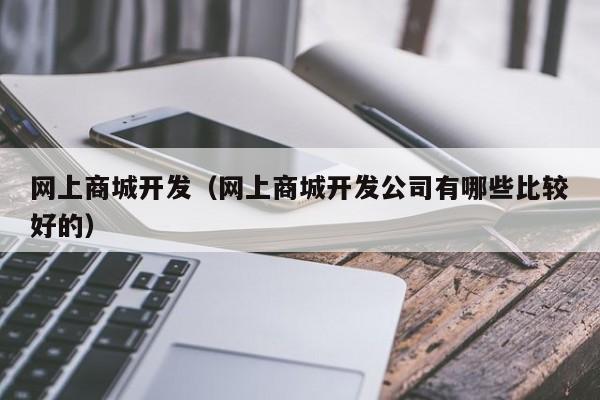 网上商城开发（网上商城开发公司有哪些比较好的）