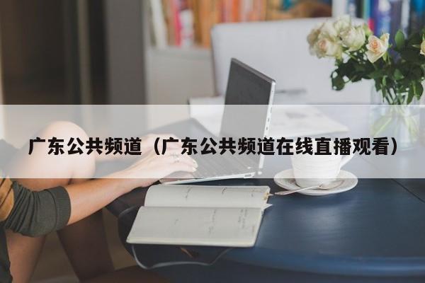 广东公共频道（广东公共频道在线直播观看）